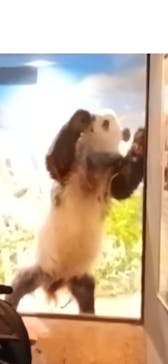 恩賜上野動物園に投稿された画像（2026/1/3）