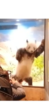 恩賜上野動物園に投稿された画像（2026/1/3）