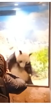 恩賜上野動物園に投稿された画像（2026/1/3）
