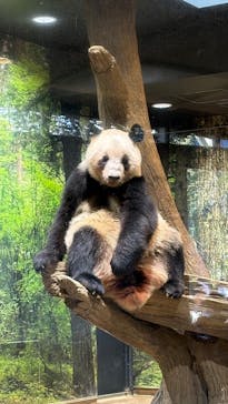 恩賜上野動物園に投稿された画像（2026/1/3）