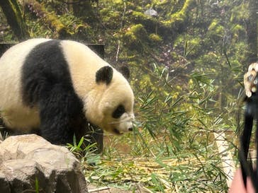 恩賜上野動物園に投稿された画像（2026/1/3）