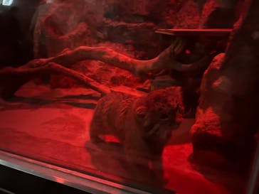 恩賜上野動物園に投稿された画像（2026/1/3）