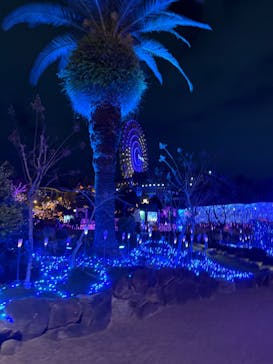 ひらかたパークに投稿された画像（2026/1/3）