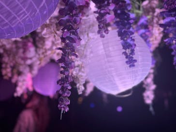 東京メガイルミに投稿された画像（2026/1/3）