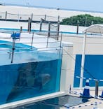 沖縄美ら海水族館に投稿された画像（2026/1/3）