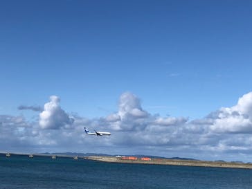 沖縄美ら海水族館に投稿された画像（2026/1/3）
