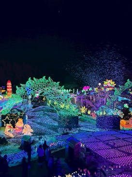 伊豆高原グランイルミに投稿された画像（2026/1/3）