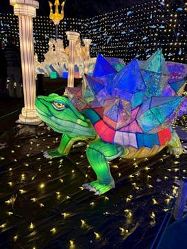 伊豆高原グランイルミに投稿された画像（2026/1/3）