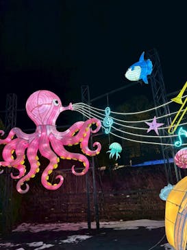 伊豆高原グランイルミに投稿された画像（2026/1/3）