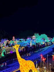 伊豆高原グランイルミに投稿された画像（2026/1/3）