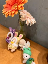 シルバニアファミリー展40th　新潟に投稿された画像（2026/1/3）