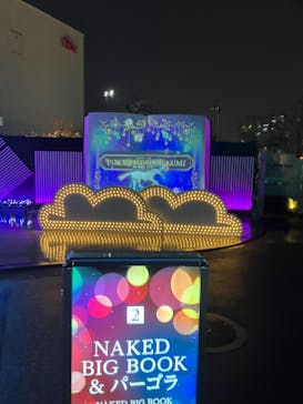 東京メガイルミに投稿された画像（2026/1/3）