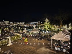 いばらきフラワーパークに投稿された画像（2026/1/3）