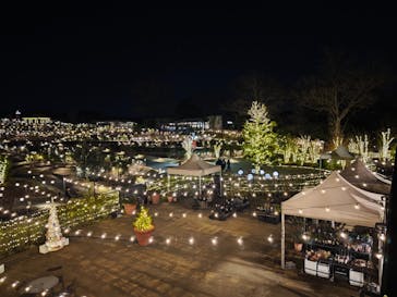 いばらきフラワーパークに投稿された画像（2026/1/3）