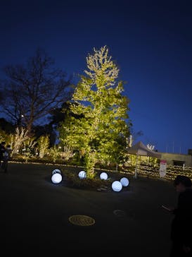 いばらきフラワーパークに投稿された画像（2026/1/3）