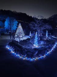 いばらきフラワーパークに投稿された画像（2026/1/3）