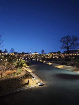 いばらきフラワーパークに投稿された画像（2026/1/3）