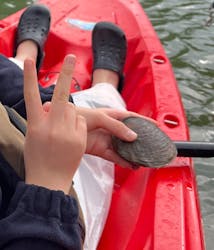 カヤックイーズに投稿された画像（2026/1/3）