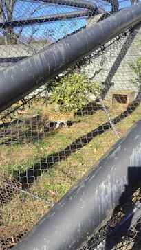 多摩動物公園に投稿された画像（2026/1/3）