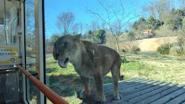多摩動物公園に投稿された画像（2026/1/3）