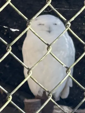 多摩動物公園に投稿された画像（2026/1/3）