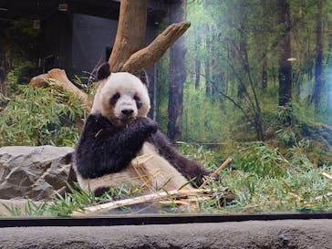 恩賜上野動物園に投稿された画像（2026/1/3）