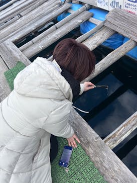 真珠工房 真珠の里に投稿された画像（2026/1/3）