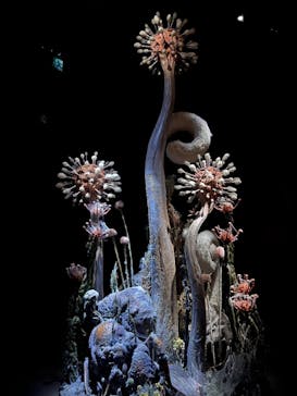 金曜ロードショーとジブリ展（静岡展）に投稿された画像（2026/1/3）