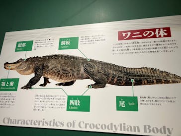 国立科学博物館に投稿された画像（2026/1/3）