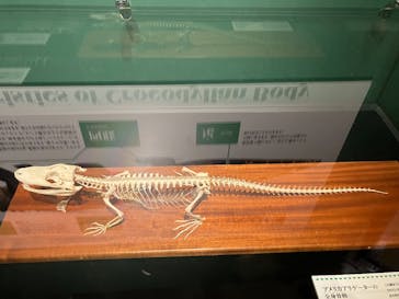 国立科学博物館に投稿された画像（2026/1/3）