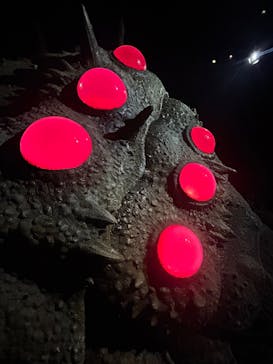 金曜ロードショーとジブリ展（静岡展）に投稿された画像（2026/1/3）