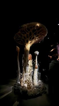 金曜ロードショーとジブリ展（静岡展）に投稿された画像（2026/1/3）