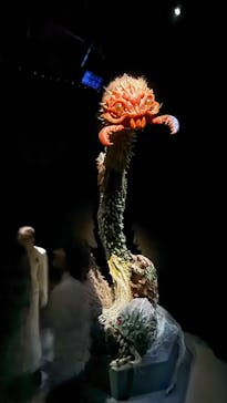 金曜ロードショーとジブリ展（静岡展）に投稿された画像（2026/1/3）