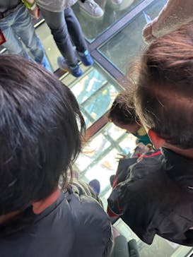 東京スカイツリーに投稿された画像（2026/1/4）