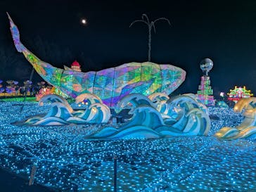 伊豆高原グランイルミに投稿された画像（2026/1/4）