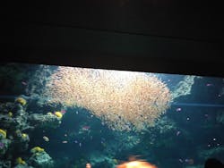 環境水族館アクアマリンふくしまに投稿された画像（2026/1/4）