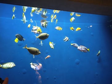 環境水族館アクアマリンふくしまに投稿された画像（2026/1/4）