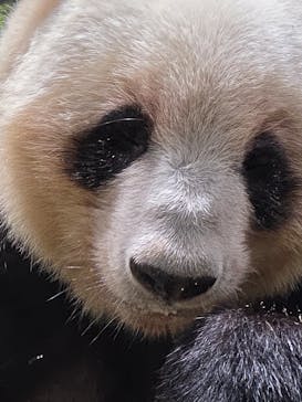 恩賜上野動物園に投稿された画像（2026/1/4）