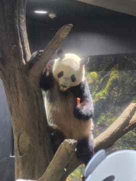 恩賜上野動物園に投稿された画像（2026/1/4）