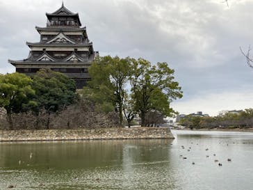 広島城に投稿された画像（2026/1/4）