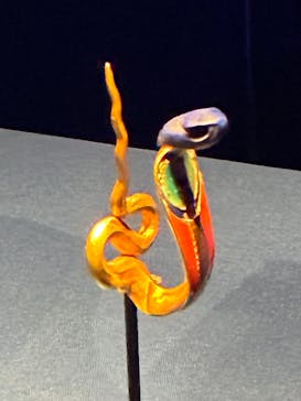 ACN ラムセス大王展 ファラオたちの黄金に投稿された画像（2026/1/4）