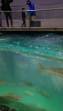 城崎マリンワールドに投稿された画像（2026/1/4）
