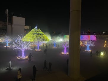 東京メガイルミに投稿された画像（2026/1/4）