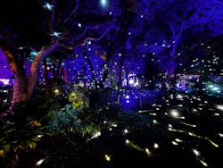 江の島シーキャンドルに投稿された画像（2026/1/4）