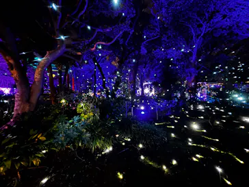 江の島シーキャンドルに投稿された画像（2026/1/4）