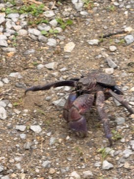 ひかりオーシャンズに投稿された画像（2026/1/4）