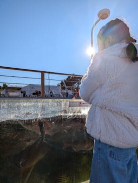横浜・八景島シーパラダイスに投稿された画像（2026/1/4）