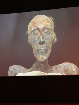 ACN ラムセス大王展 ファラオたちの黄金に投稿された画像（2026/1/4）