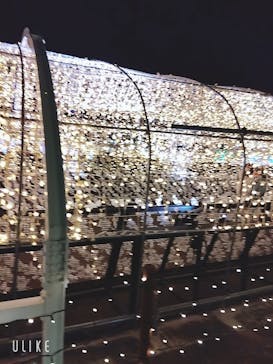 東京メガイルミに投稿された画像（2026/1/4）