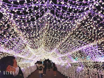 東京メガイルミに投稿された画像（2026/1/4）